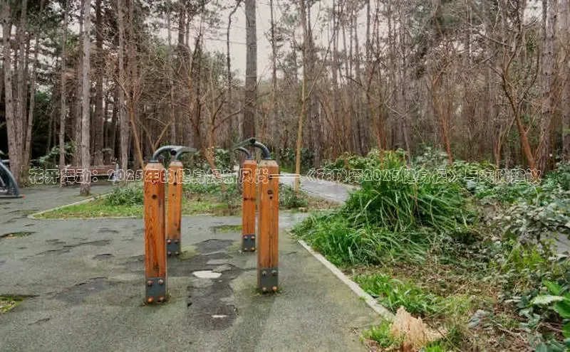 qy球友会网站登录入口